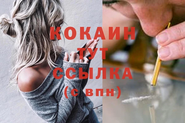 гидра Карпинск