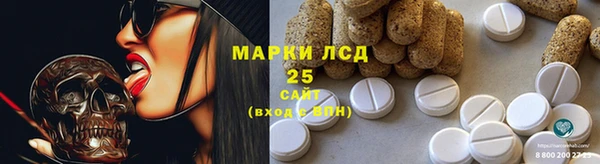 гидра Карпинск