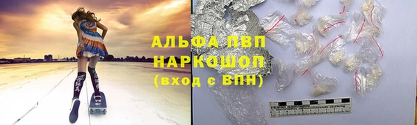 гидра Карпинск