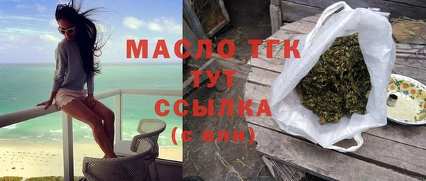 гидра Карпинск